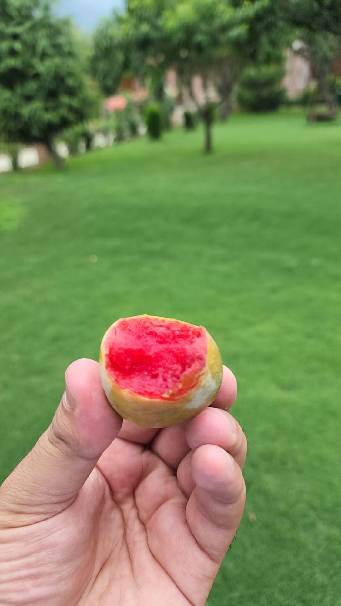 The Orchard Retreat & Spa Srīnagar Buitenkant foto